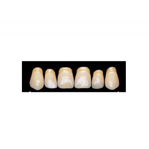VIVODENT DIENTE SR CHROMASCOP IVOCLAR - Imagen 2